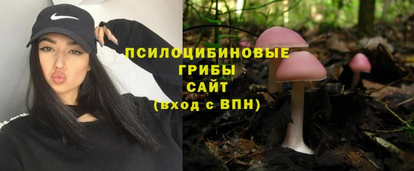 PSILOCYBIN Алзамай