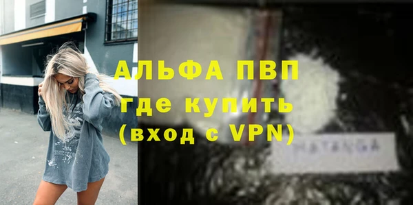 молекула духа Алексеевка