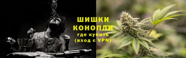PSILOCYBIN Алзамай