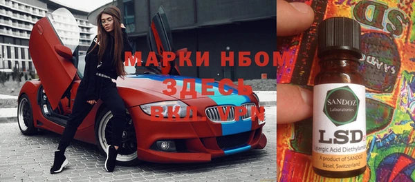 PSILOCYBIN Алзамай