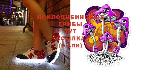 молекула духа Алексеевка