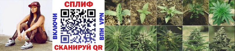 Шишки марихуана SATIVA & INDICA Нурлат